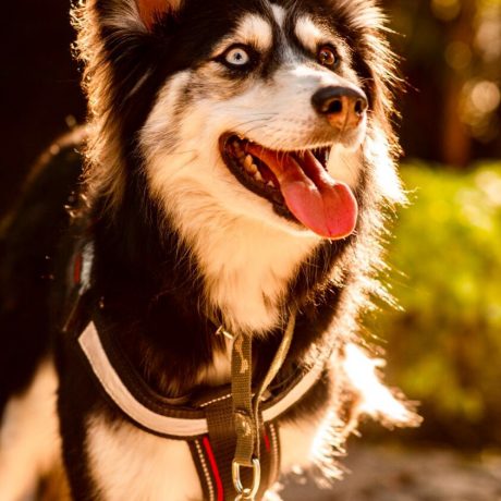 WhatsApp Image 2022-01-18 at 10.18.37 AM (3)